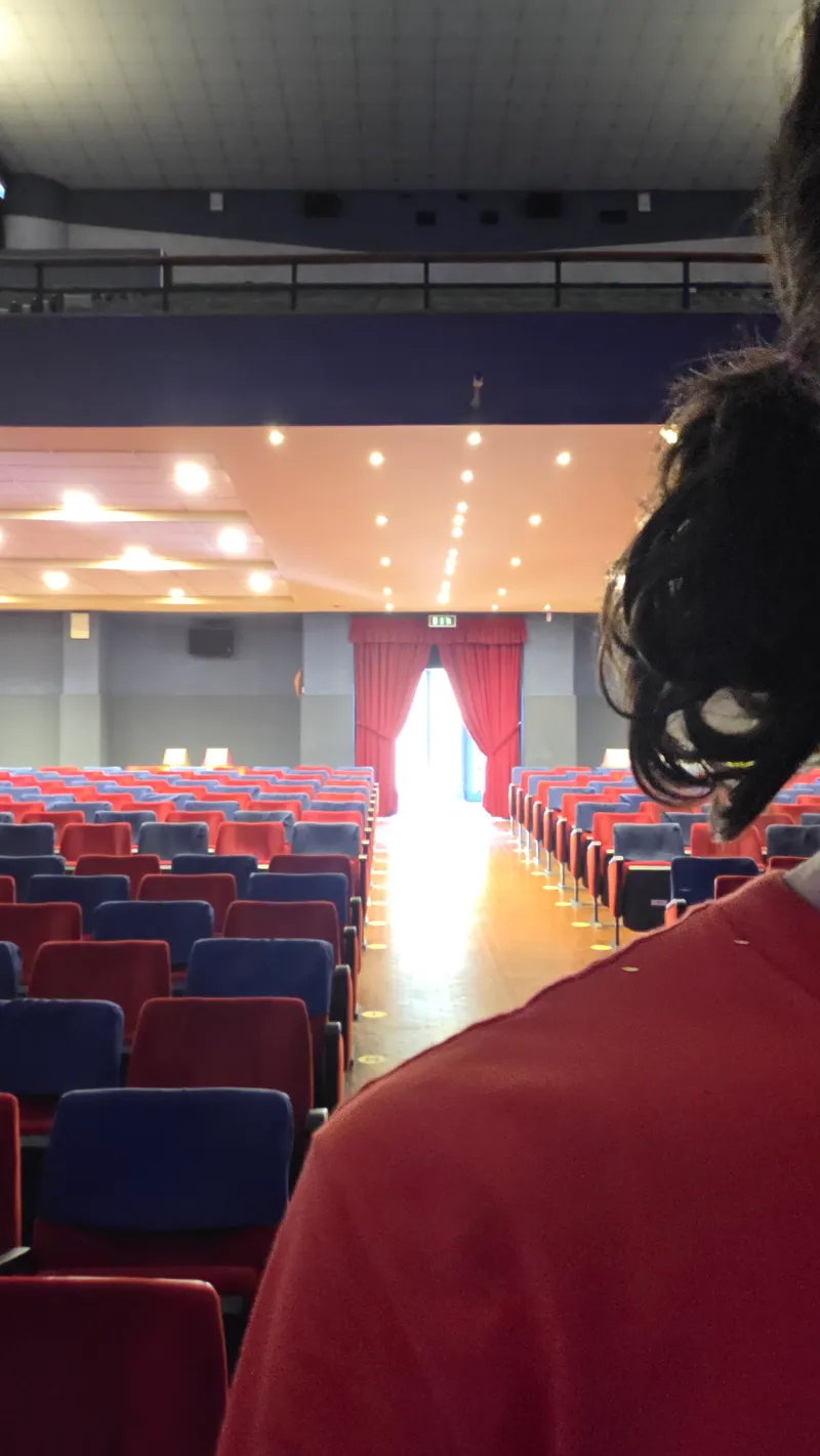 Le file di poltrone rosse e blu della platea